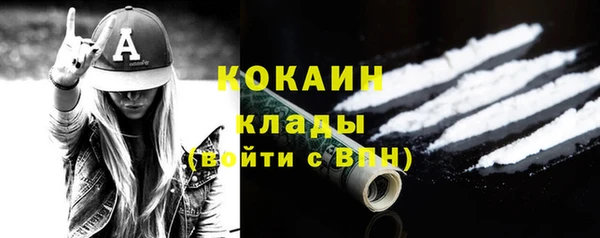 молекула духа Алексин