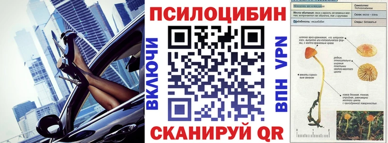 Псилоцибиновые грибы прущие грибы  Андреаполь 